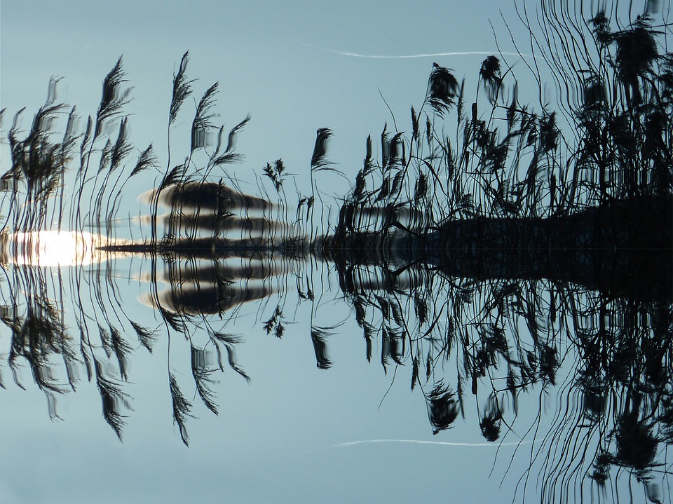 reflection-water