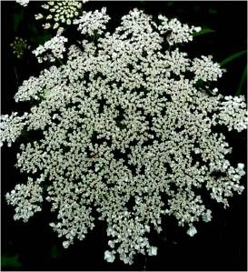 isabelmartinventura.com